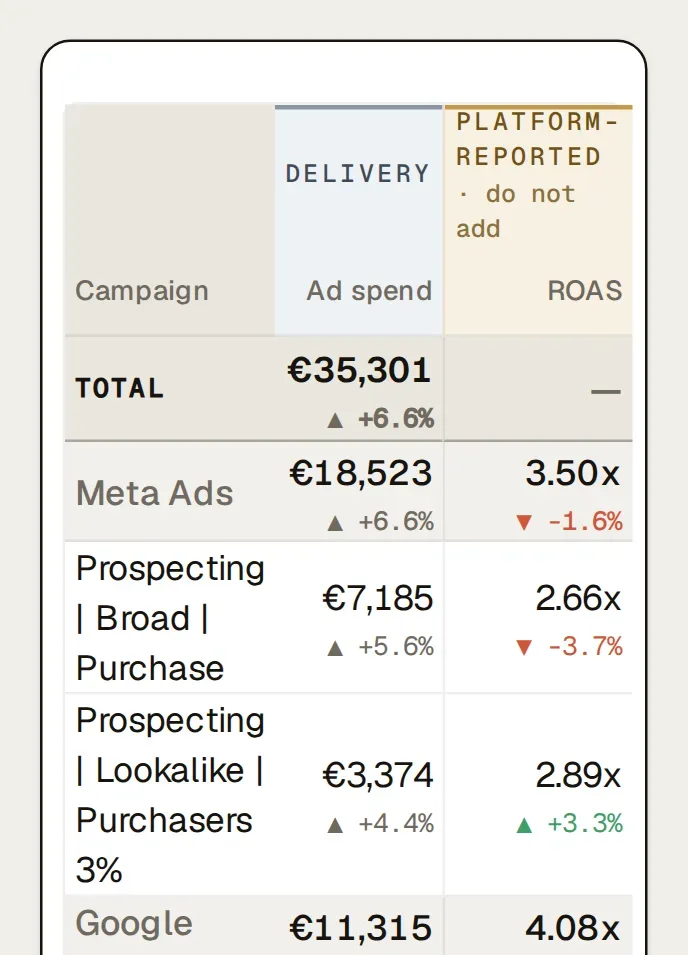 The Paid ads table at campaign grain: the total, then Meta Ads with its campaigns and their audience badges.