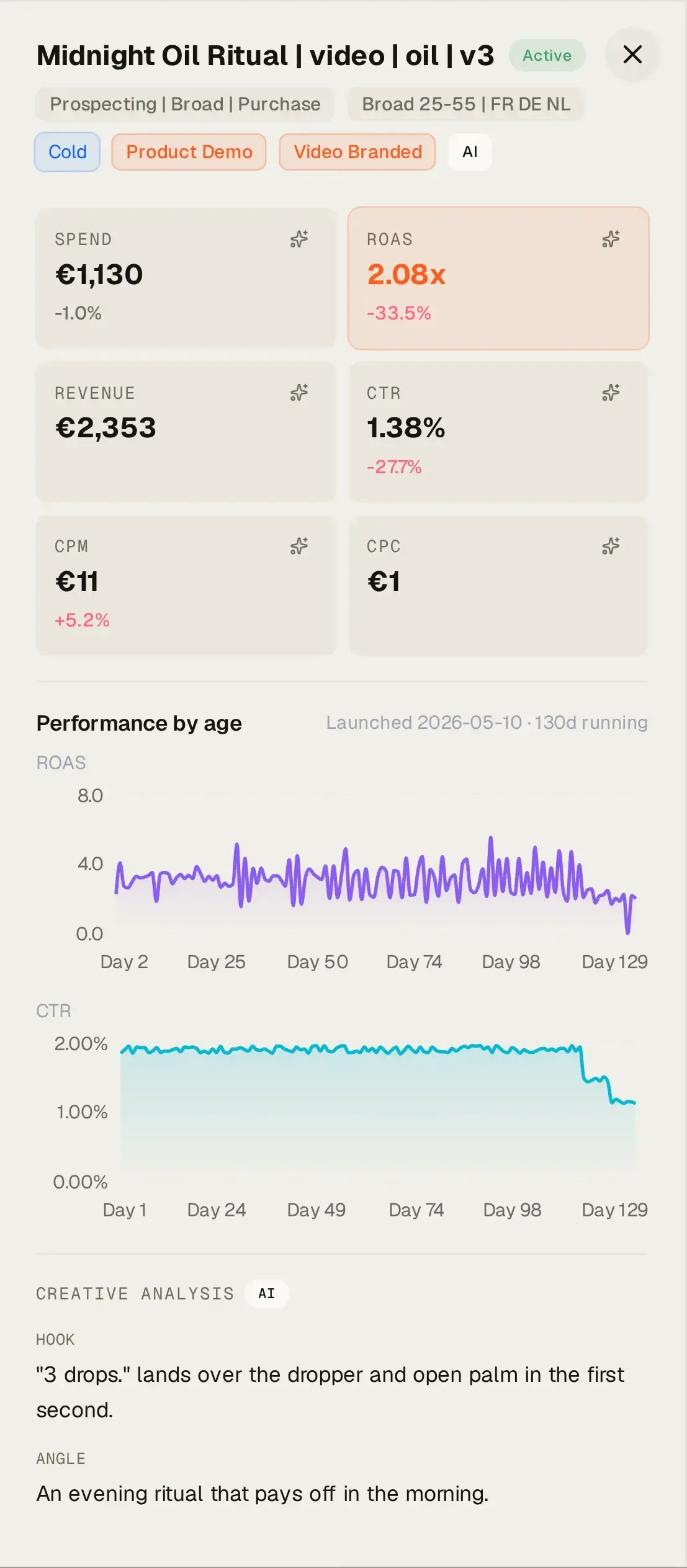 The numbers side of a Meta video ad’s detail: its name, audience and AI tags, spend, ROAS, revenue, CTR, CPM and CPC, then ROAS and CTR by day since launch.